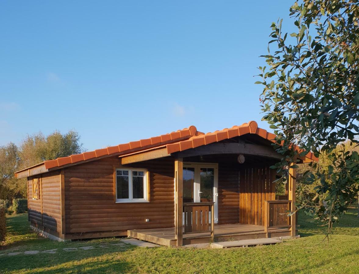 Hotellerie De Plein Air Belle Dune Berck Εξωτερικό φωτογραφία
